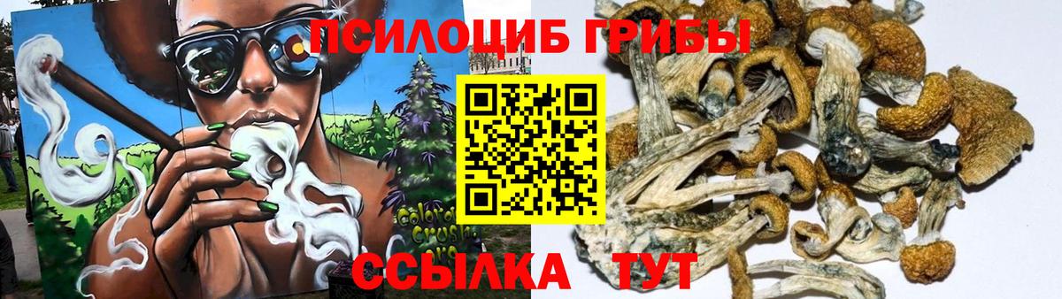 Псилоцибиновые грибы Psilocybe  Вход с VPN  Красноармейск 